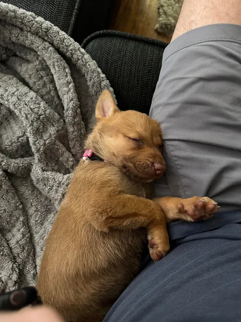 They grow up so fast