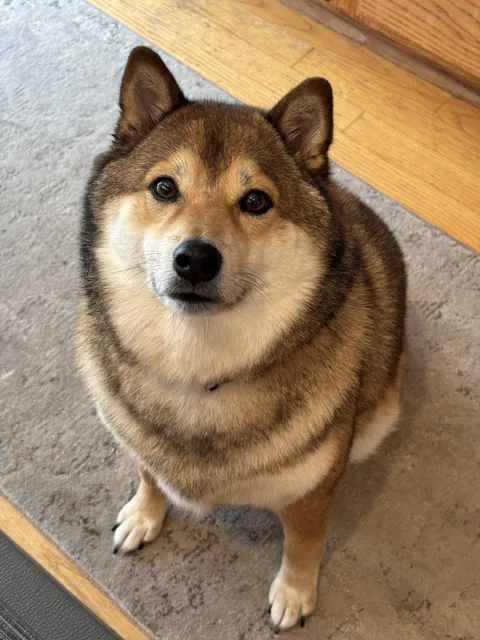 Funfact! His birthday is on 4th of July ❤️