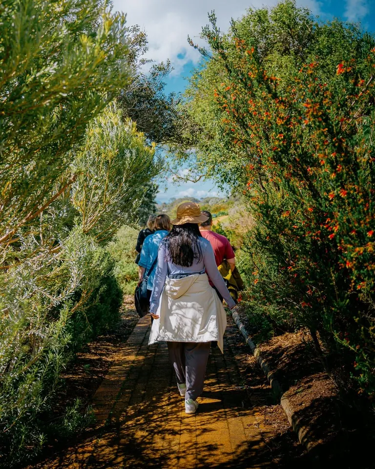 We spent a month in South Africa for our honeymoon. And we'd do it again. 