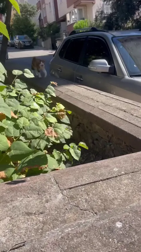 OTW to the office .... cute guy shows up