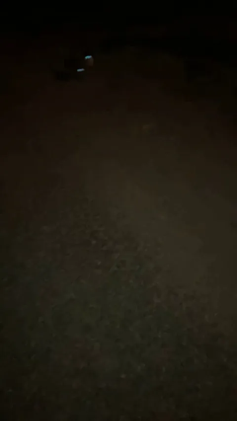 These hillbillies followed me all the way home. A 40 minute walk away. Of course I kept them.