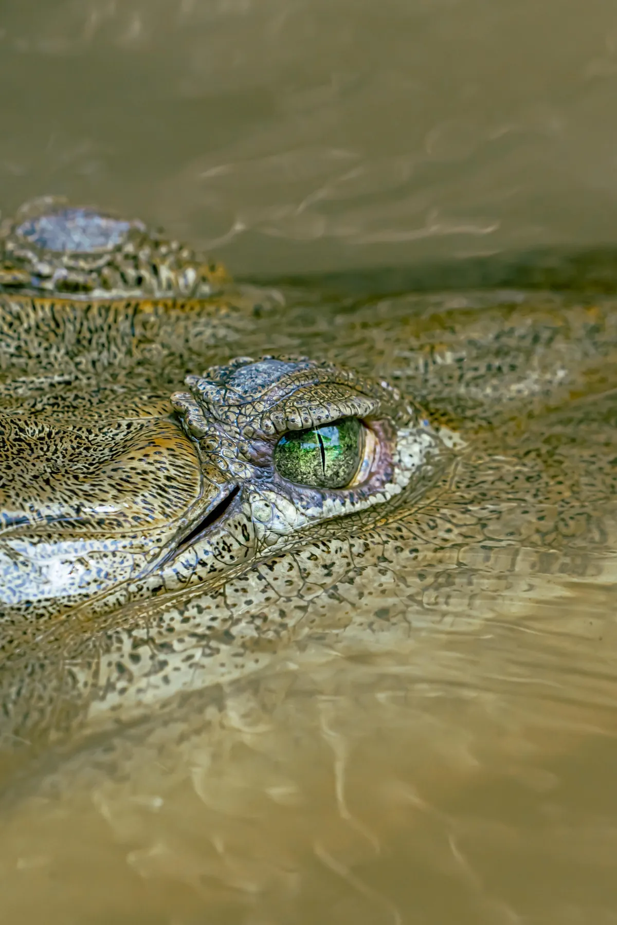 A little slice of pura Vida 📍 Costa Rica