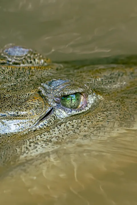 A little slice of pura Vida 📍 Costa Rica