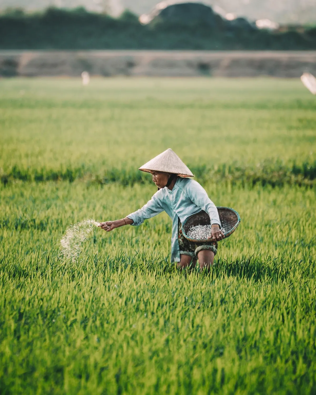 Vietnam's visitor return rate is very low - It's moments like these that keep me coming back.