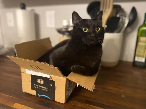 7 years with my Middle Eastern girl