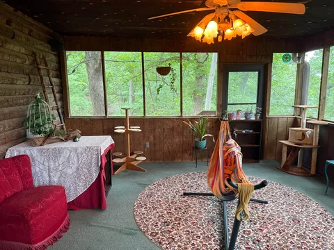 My sunroom/office/foster kitten room