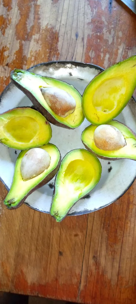 Picked these from my grandma's fruit garden 