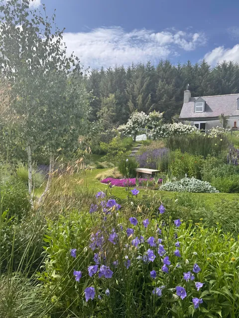My Scottish Garden