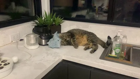 This is a dirty cleaning cloth. Why?????