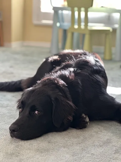 She’s a beautiful girl.