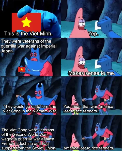 There needs to be a case study on the flanderisation of the Viet Cong.
