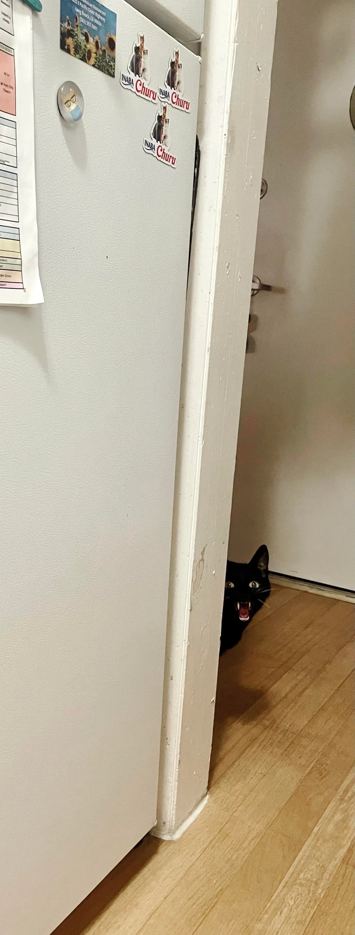 Angy Void: 😾&gt;👹