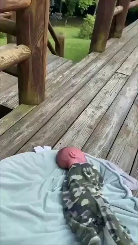 Mother deer comes rushing thinking a baby’s cries are coming from her baby