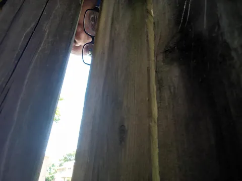 Alright bitches bros and nonbinary hoes let's see what you got