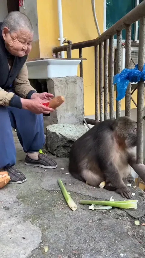 Her eyes says a lot ❤️