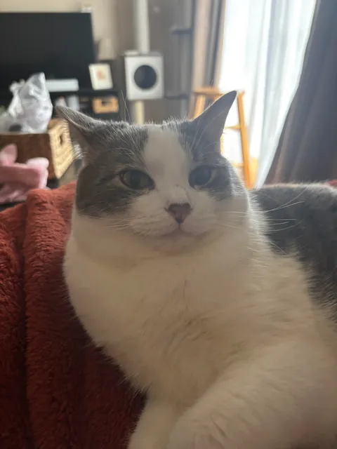 The 5 hour nap was not enough. I must sleep more.