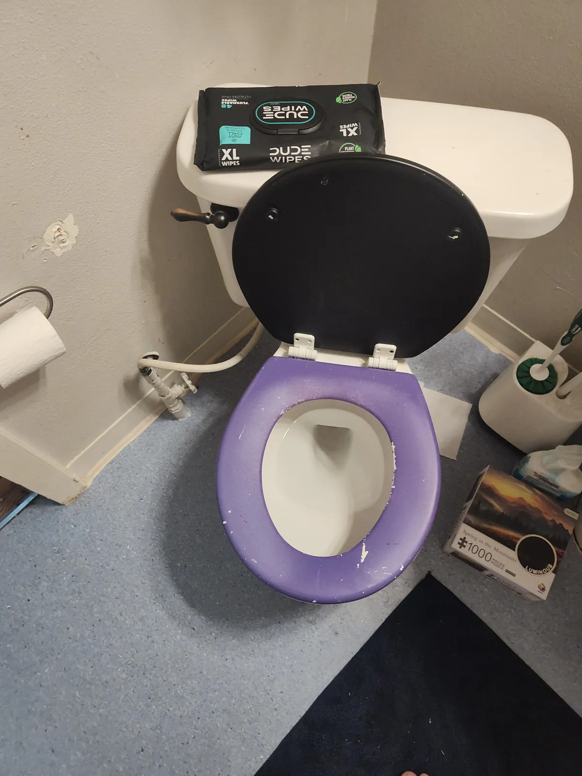 Roommate spray painted the toilet seat and lid I don't know why