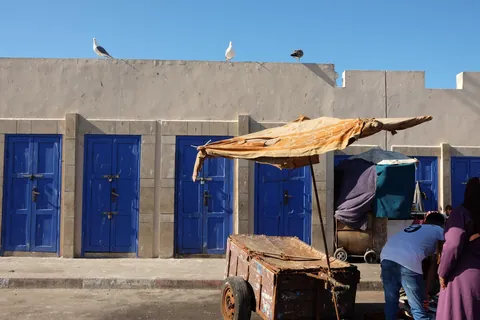 Some photos from my trip to Morocco!