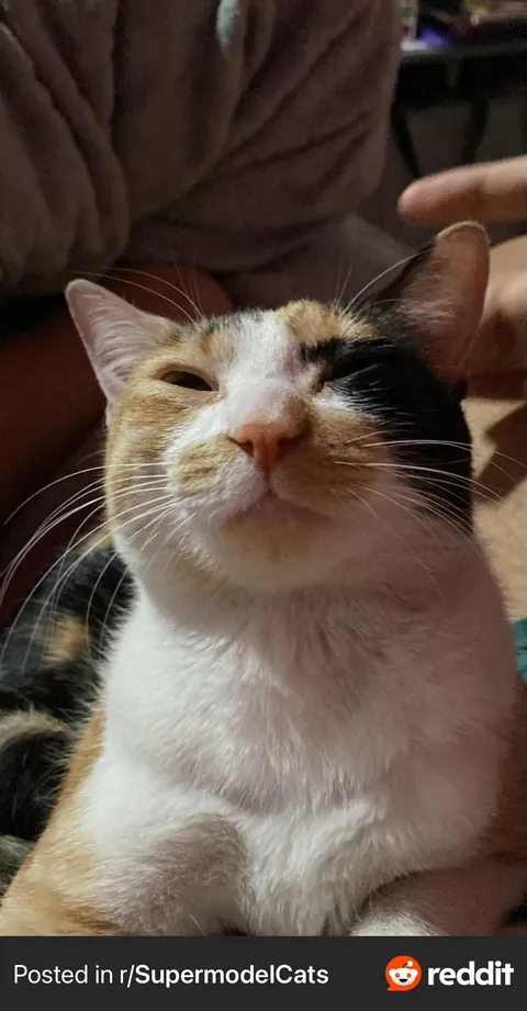 She saved me from committing suicide and gave me a reason to live.