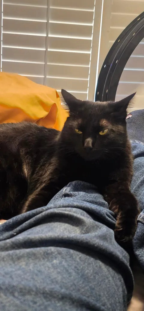 Its Friday the 13th!! Show me your Voids!!!