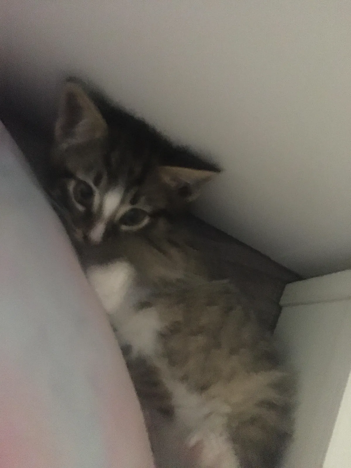 I’m 15, my 17 year old sister just died.