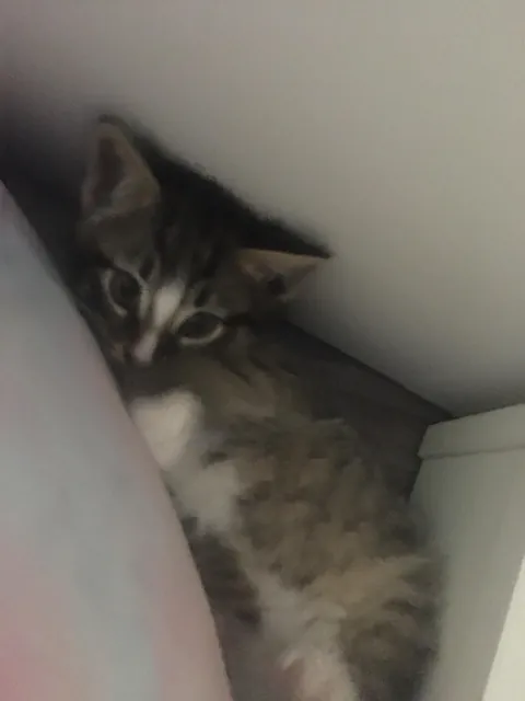 I’m 15, my 17 year old sister just died.