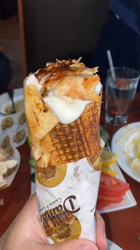 [I ate] Syrian style chicken shawarma