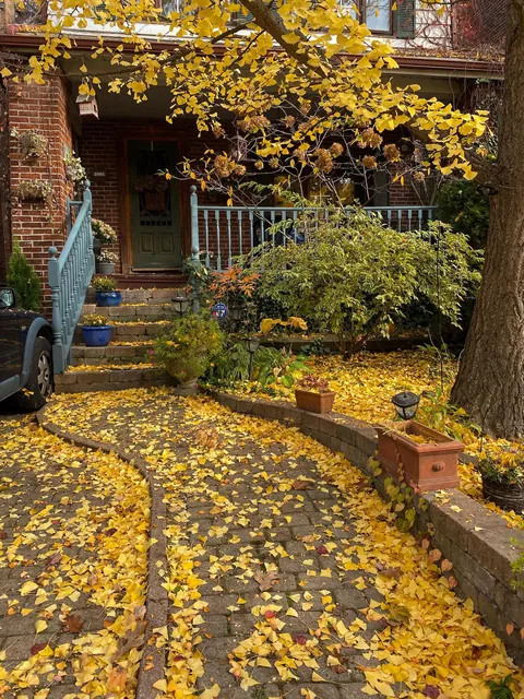 Autumn in Toronto 🍂🎃🧡