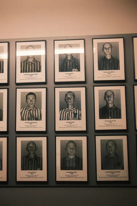 Auschwitz-Birkenau: Nazi German Concentration &amp; Extermination Camp (Poland)