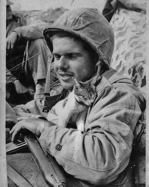 In WWI, around 500,000 cats served in trenches and on ships—controlling rats, boosting morale, and even acting as early gas detectors. They brought comfort to soldiers in the chaos of war. (Some pics are from WWII)