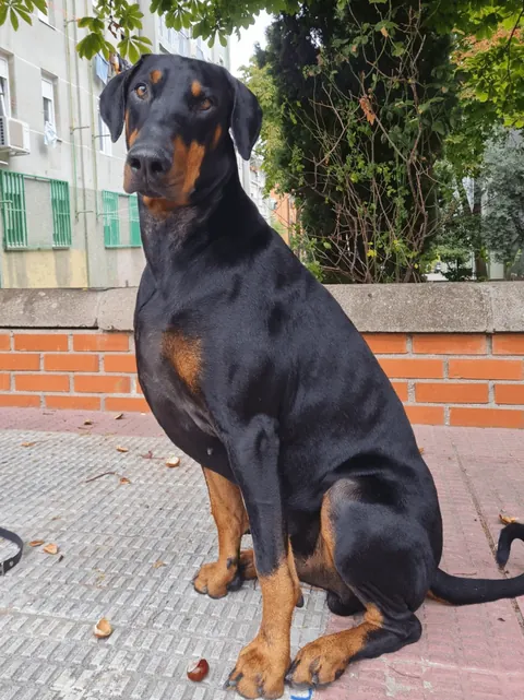 He looks like this now, but back in the day...