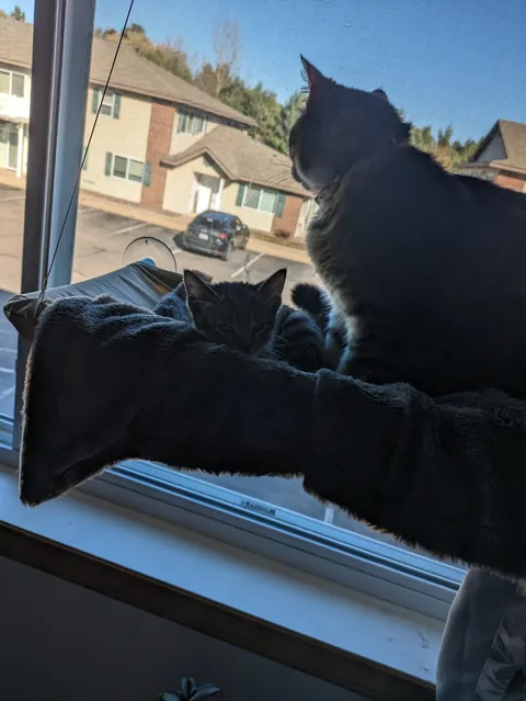 My bubba passed away suddenly.