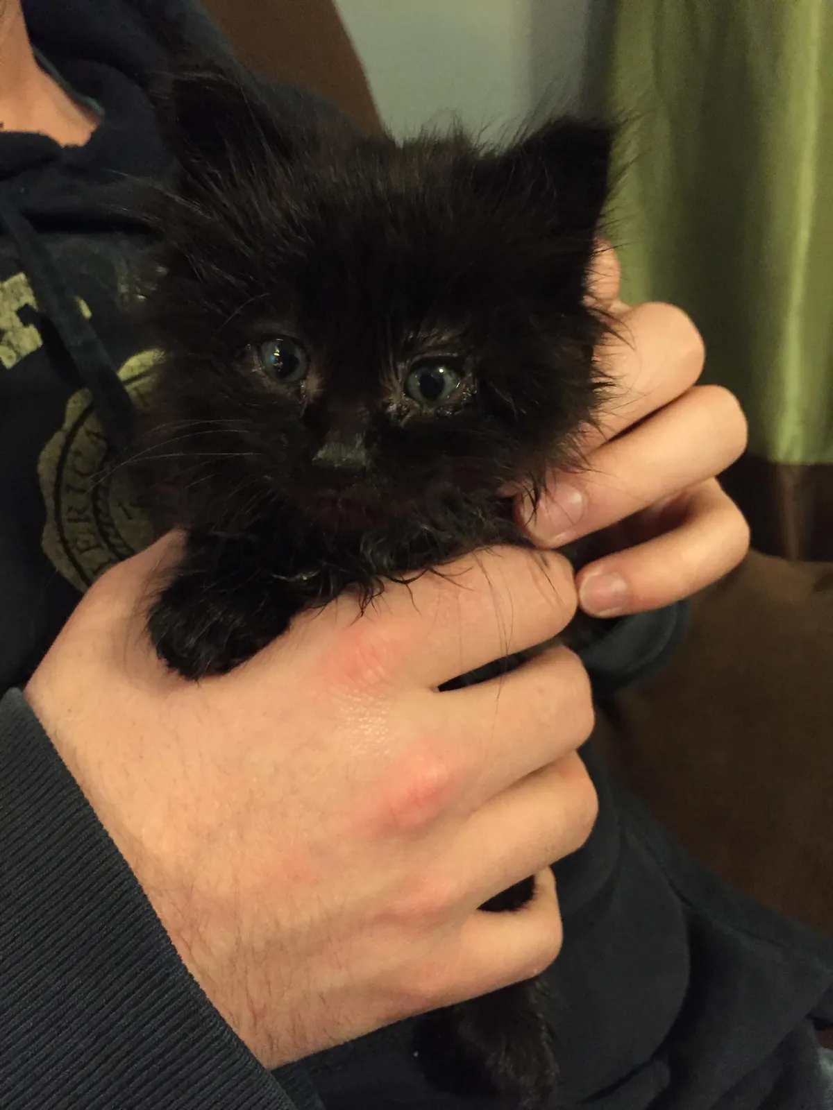 He appeared on Halloween—the night we got engaged. We didn’t choose him. He chose us.