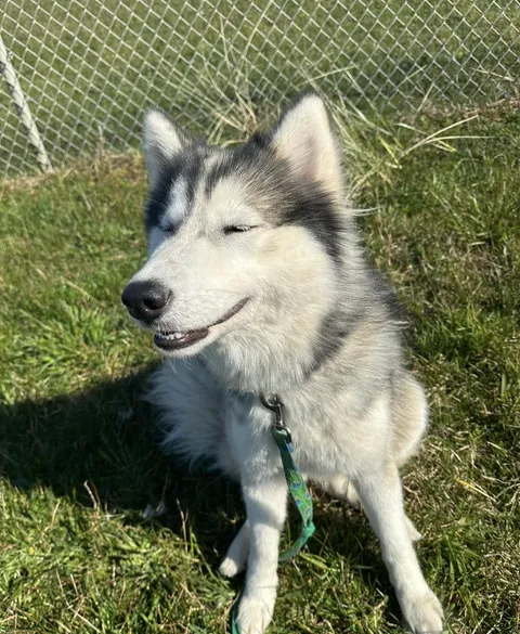 She just turned one! It feels like she was just a baby