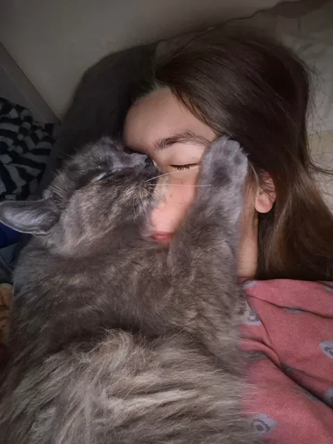 Do you think I can send these pictures to my boss as a legitimate reason for being late to work?