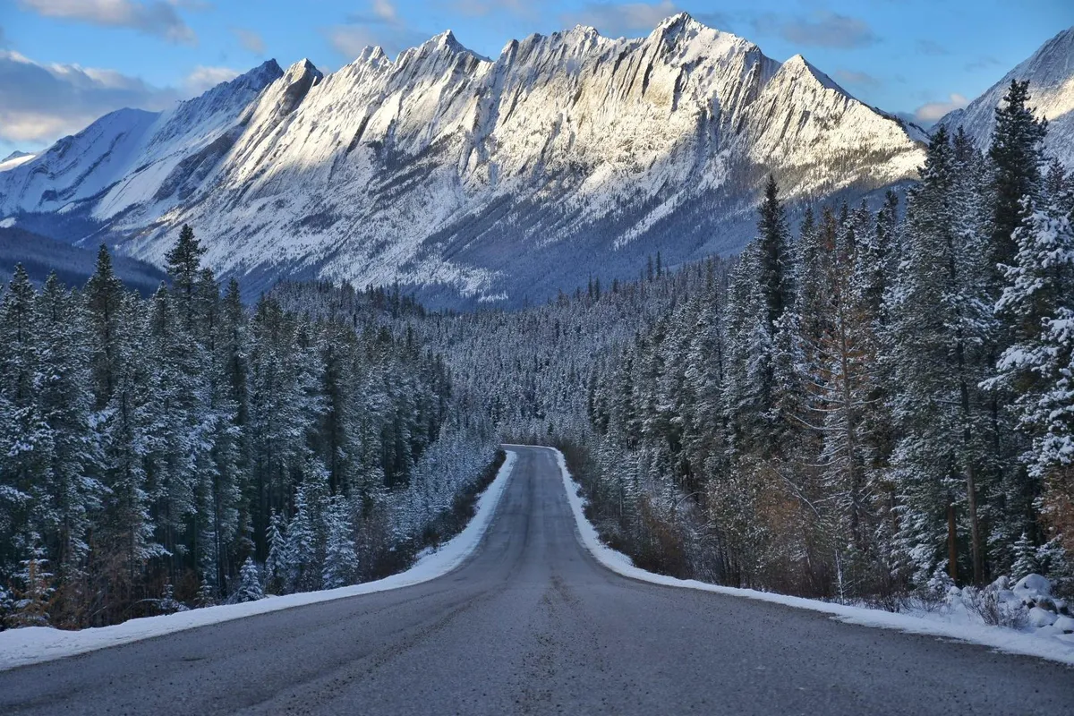 A drive back to Jasper through Jasper National Park, Alberta, Canada in mid-Fall.