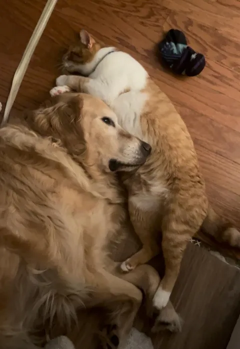 JimJim loves his Clover dog