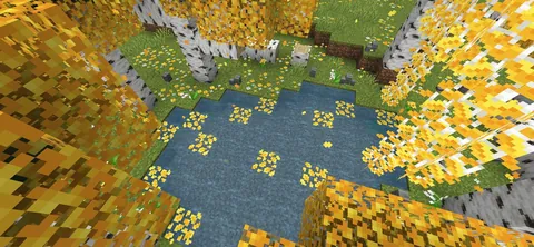 Birch forest update