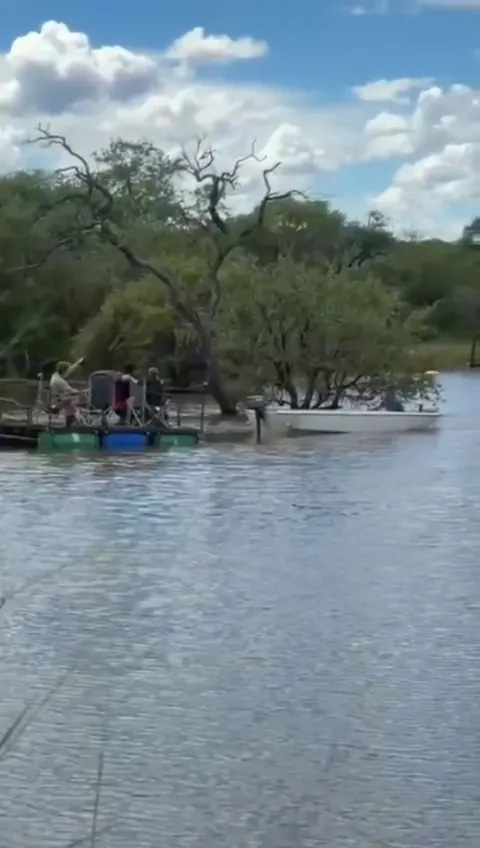 Different angle of Hippo flipping the boat in South Africa