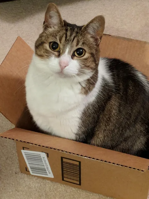 My Best Friend Sarah