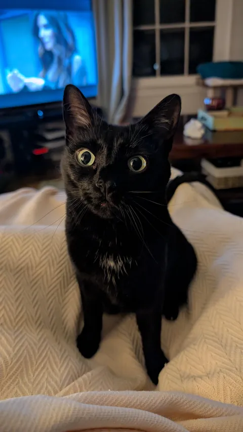 My 5am sick nurse was so happy to see me 🖤