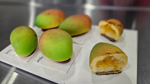 [Pro/chef] I took a mango and cherry entremet class