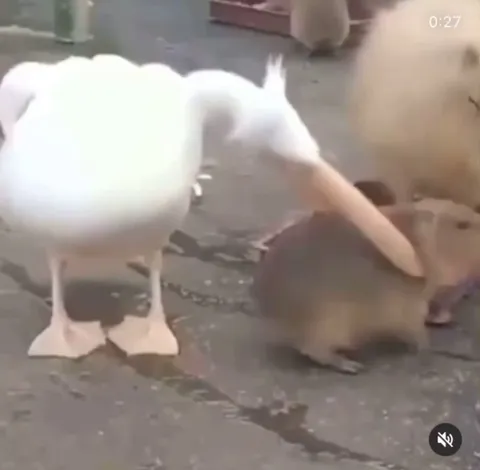 When it doesn’t fit, it doesn’t fit