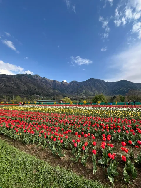 Scenes from my travels across India 🇮🇳