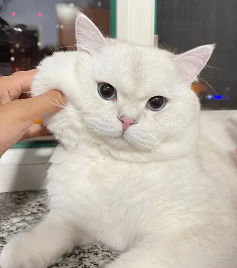 This face just melts my heart.