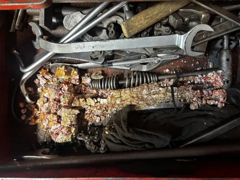 This ~50 year old Snap-On deadblow hammer sitting in a toolbox for decades has decomposed.