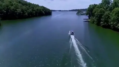Logan Paul attempts to kill his dog by pushing it into a boat propeller for "content" and tries to pretend it just jumped off.