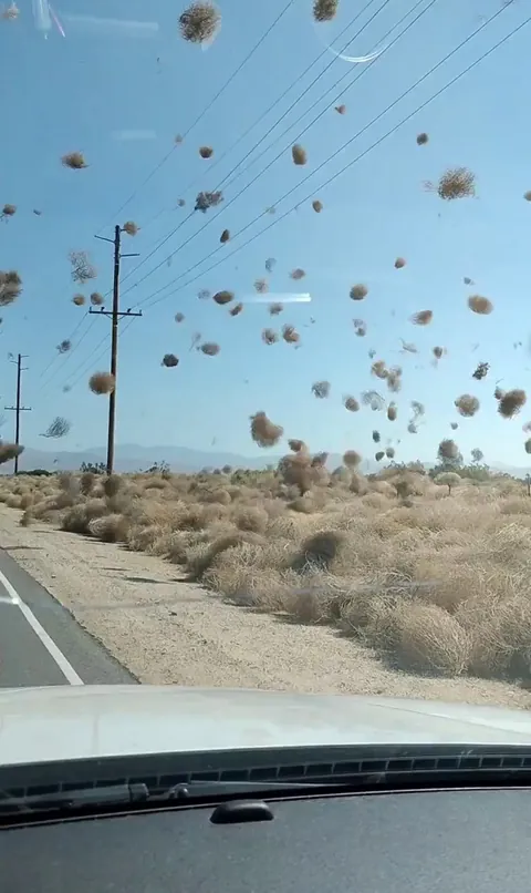 🔥 Driver spots a tumbleweed dust devil, Los Angeles County
