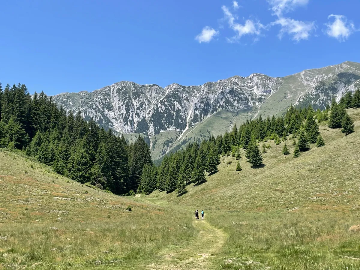 1 Week in Romania 🇷🇴