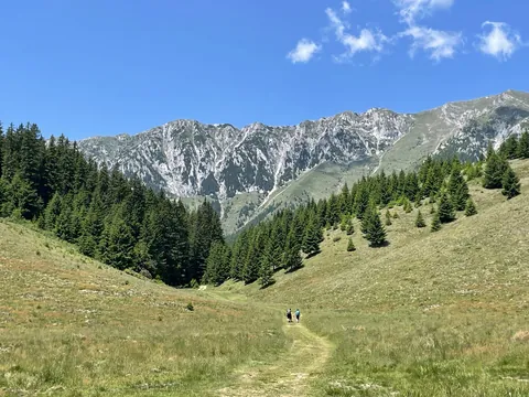 1 Week in Romania 🇷🇴